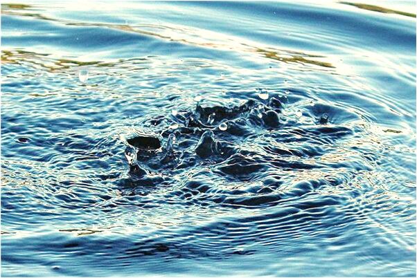 夢到田地里的花有什麼寓意嗎？_周公解夢官網