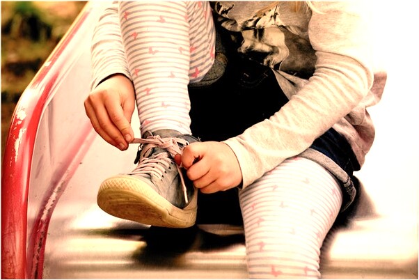 夢到了別人養一群小白豬意味什麼_周公解夢官網