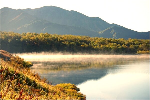 夢到了自己的兄弟會是什麼預兆_周公解夢官網