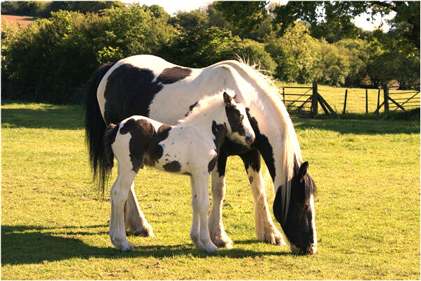 夢見在報紙上寫字撕碎埋掉是好事還是壞事_周公解夢官網