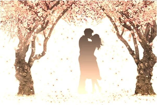 夢見一根頭髮像鐵絲是什麼啟示_周公解夢官網