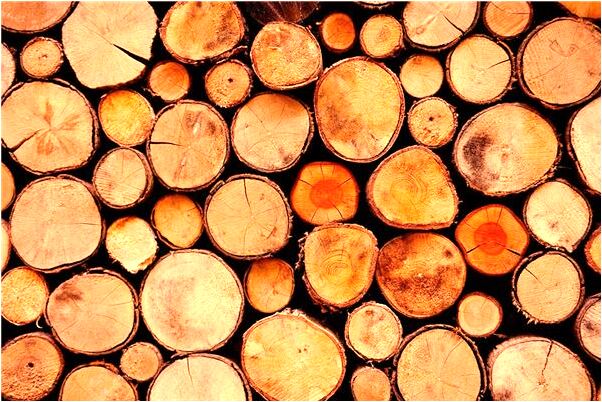 夢到了最好的朋友結婚了是咋回事_周公解夢官網