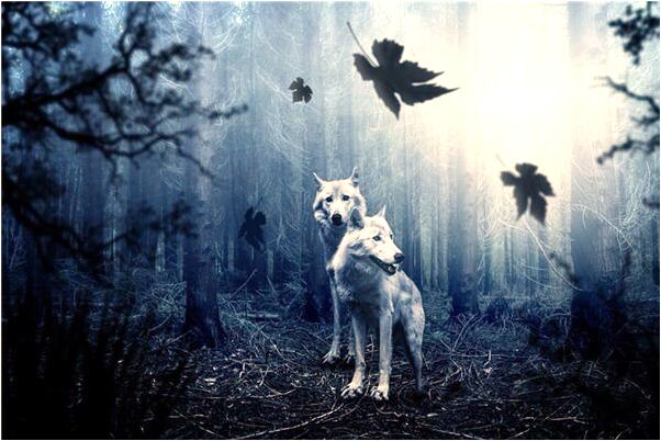 夢到自己和朋友考了一樣的名次怎么樣_周公解夢官網