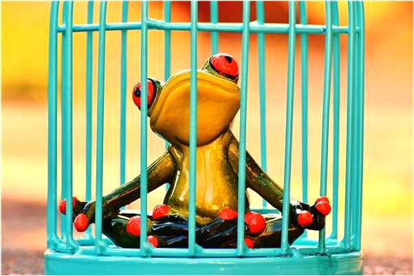 夢到了長長的蟲子鑽進身體是什麼徵兆_周公解夢官網