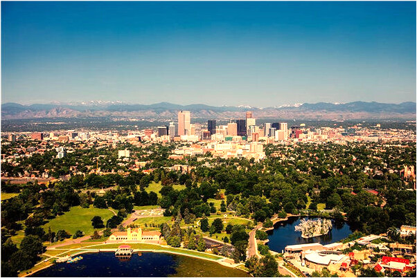 夢見輸卵管有何寓意_周公解夢官網