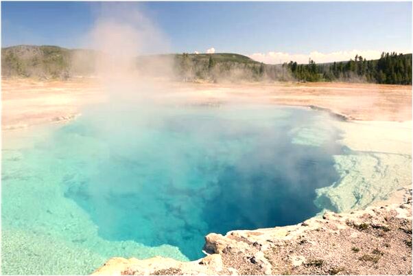 夢到了一群粉色的豬在水裡走是什麼徵兆_周公解夢官網