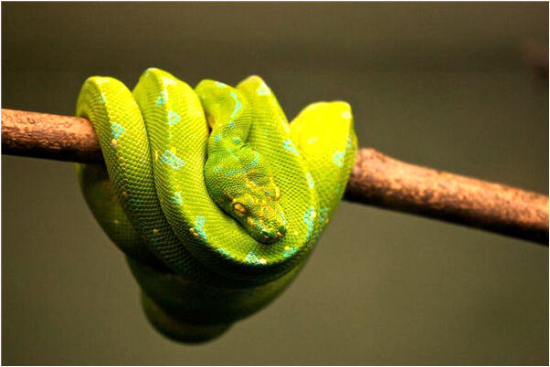 夢到別人採礦會是什麼預兆_周公解夢官網