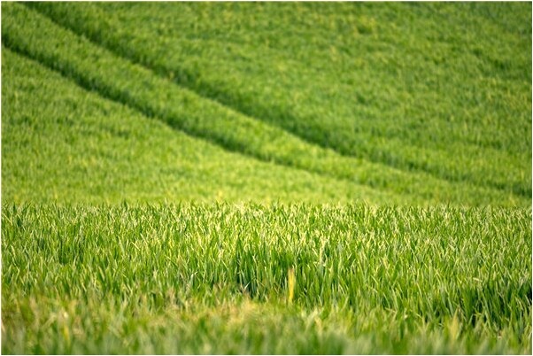 夢見佛像發紅代表著什麼_周公解夢官網