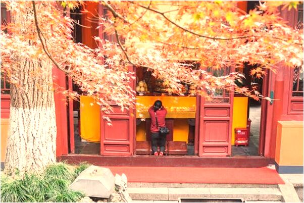 夢到了從地下挖出玉珠會有什麼預兆_周公解夢官網