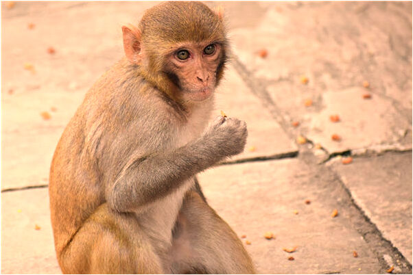 夢到了兒子被湯傷什麼預兆_周公解夢官網