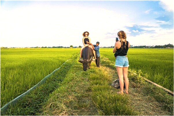 夢到了自己安了假肢會是什麼預兆_周公解夢官網