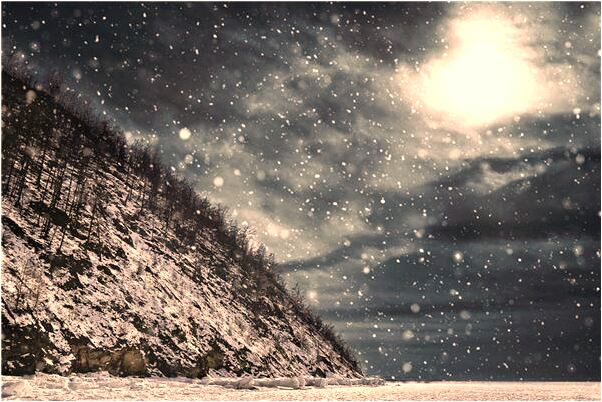 夢到了大肥豬追自己什麼寓意_周公解夢官網