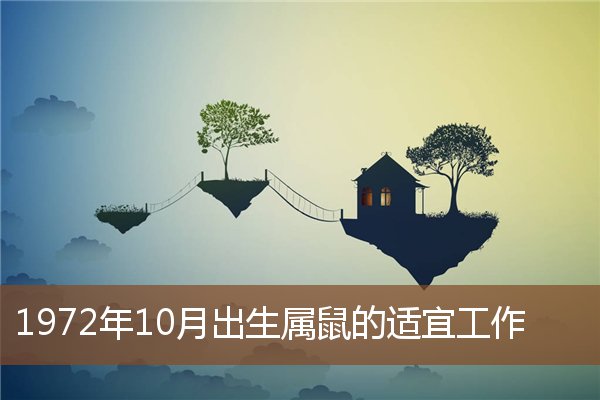 1972年10月出生屬鼠的適宜工作_十二生肖