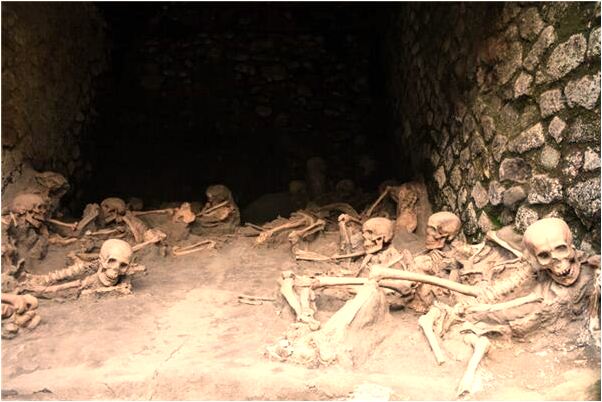 夢到了霉食品怎么樣_周公解夢官網