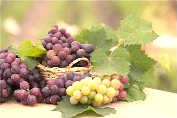 夢到小狗在我懷裡是自己的孩子怎么樣_周公解夢官網