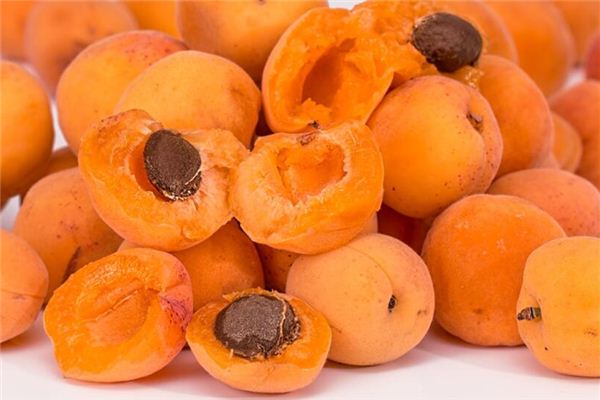 夢見黃杏兒是什麼意思_周公解夢