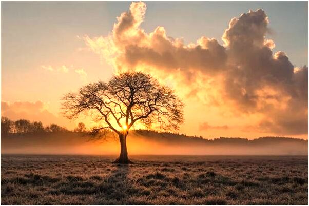夢見別人修路讓我幫忙意味著什麼_周公解夢官網