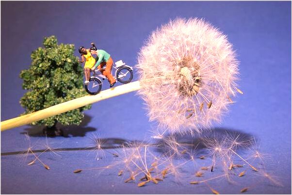 夢見和老公親熱去世母親在是什麼徵兆_周公解夢官網