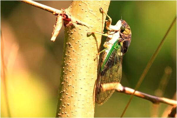 夢見女人飾衣服有什麼預示嗎_周公解夢官網