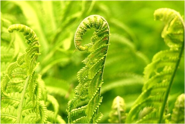 夢見污水往下流怎么回事_周公解夢官網