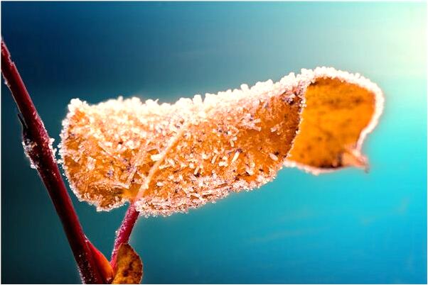 夢見老師教武術考試是什麼預兆_周公解夢官網