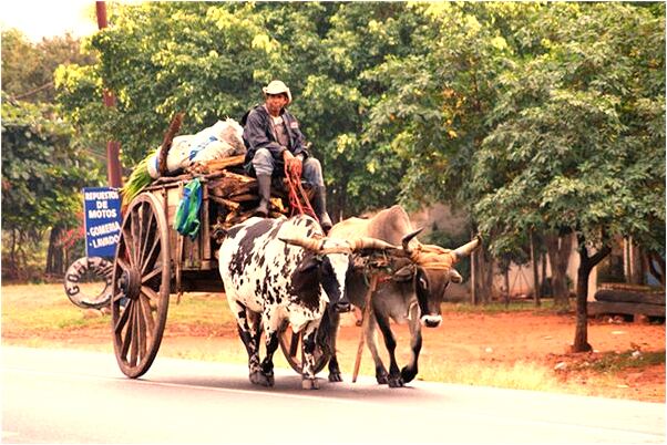 夢見買椅子套怎么說_周公解夢官網