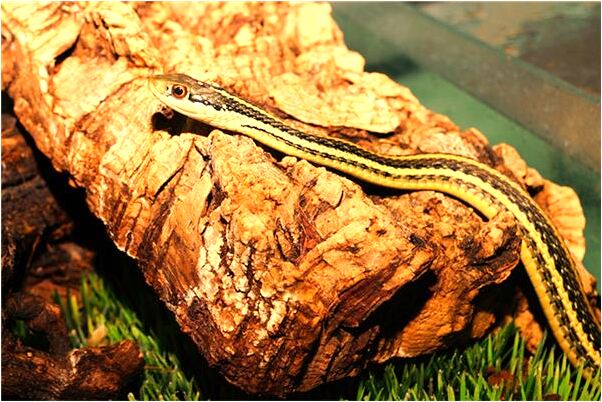 夢到抱男人有什麼含義_周公解夢官網