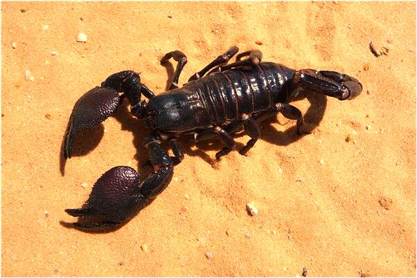 夢到床邊有人有什麼寓意嗎?_周公解夢官網