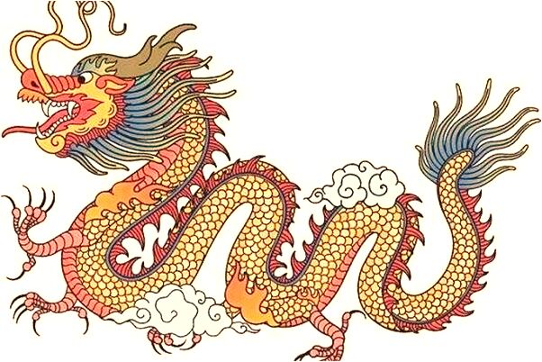 夢見不能大多的蛇是不是好的徵兆呢_周公解夢官網