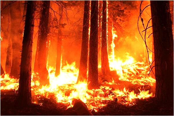 夢到了買貢品預示什麼_周公解夢官網