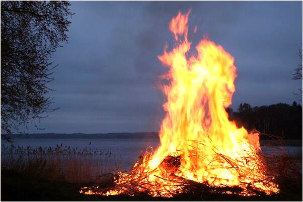夢到被毒蛇咬傷又退去是什麼兆頭_周公解夢官網