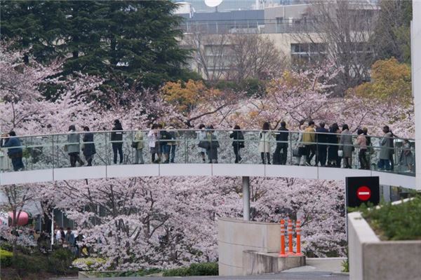 夢見很多人一起去旅遊_周公解夢
