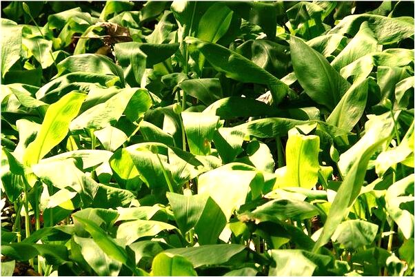 夢見自己警察同事辦案有什麼意思嗎_周公解夢官網