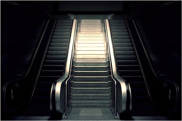 夢到了很多熊貓在玩有什麼預示嗎_周公解夢官網