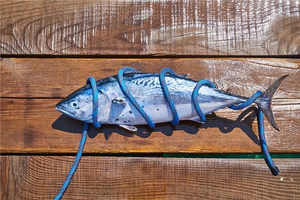 夢到死魚_周公解夢