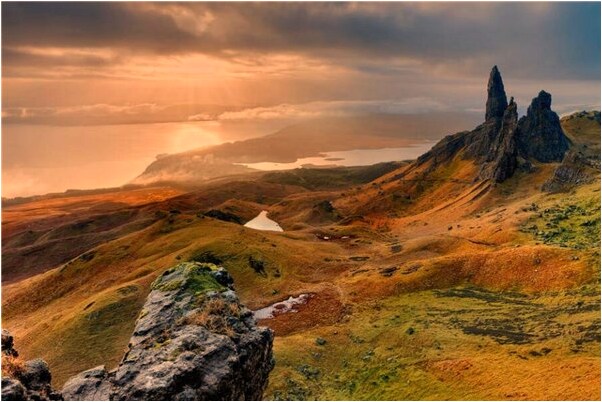 夢到了龜吃蛇意味著什麼_周公解夢官網