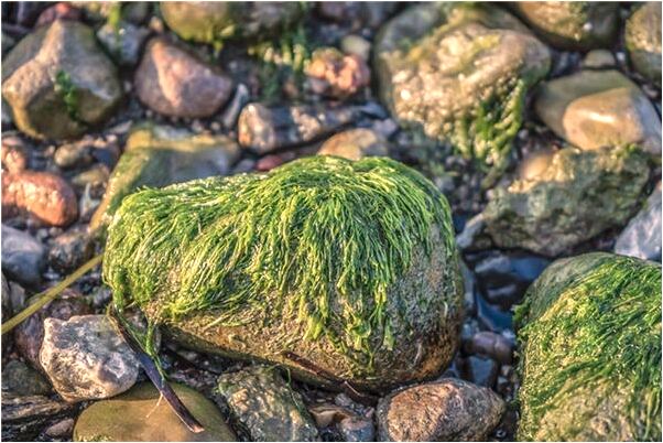 夢見小堂弟堂妹很頑皮會是什麼預兆_周公解夢官網