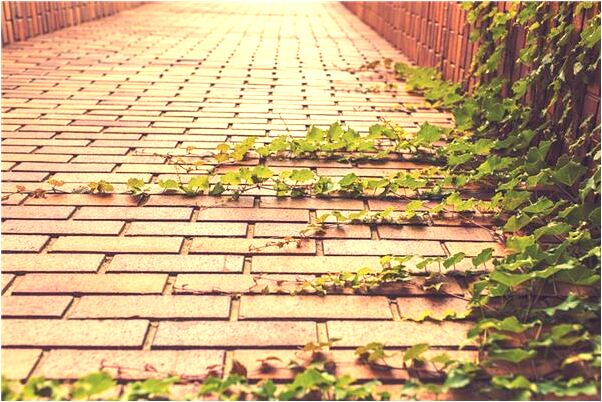 夢見吃魚沒錢付是什麼兆頭_周公解夢官網