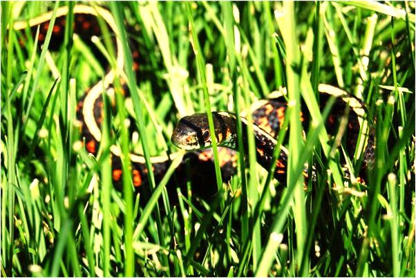 夢到在廁所接手代表什麼_周公解夢官網