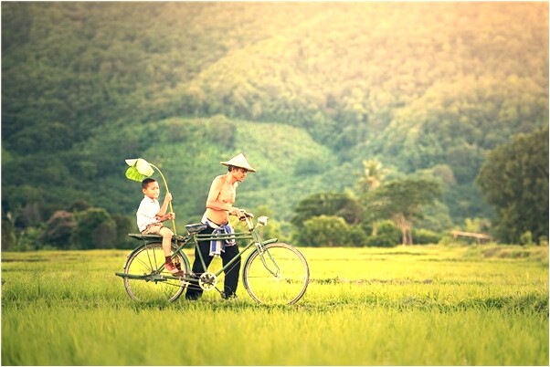 夢到了死了的海豚起來想咬我有什麼意義嗎_周公解夢官網