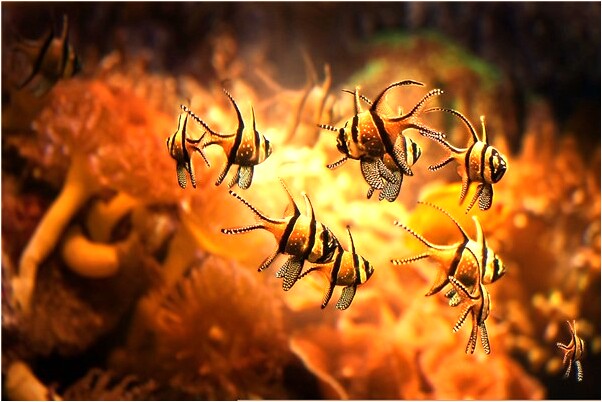 夢見自己裸體撞見離異的丈夫有什麼寓意嗎？_周公解夢官網