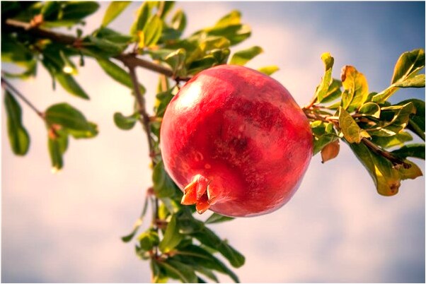夢見自己考試失利意味著什麼_周公解夢官網