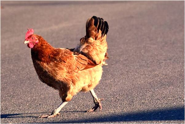 夢到了去世的爸爸活了是吉兆嗎?_周公解夢官網