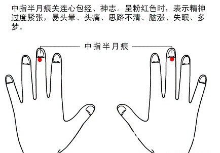 Half moon marks view health diagram 3