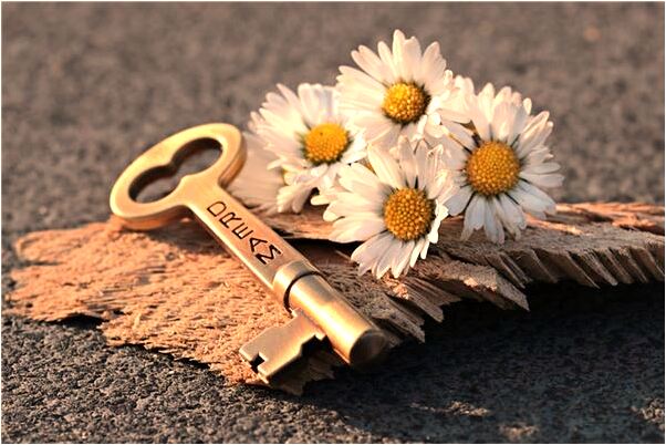 夢到睡覺時有人放狗咬我我打狗是什麼預兆_周公解夢官網