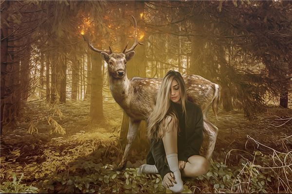 科學釋夢與迷信有什麼不同_周公解夢