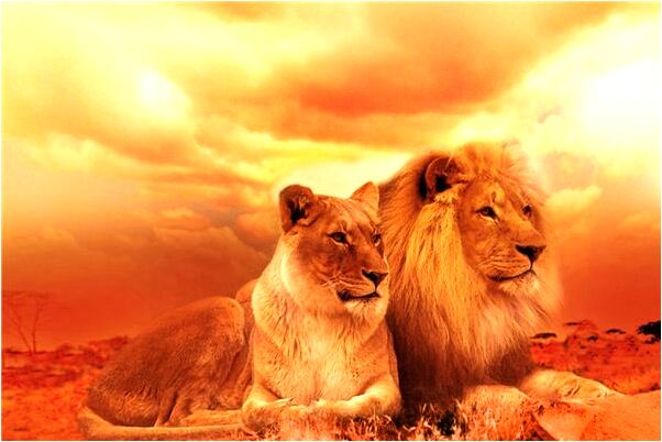 夢見家裡拆遷住加油站有什麼含義_周公解夢官網