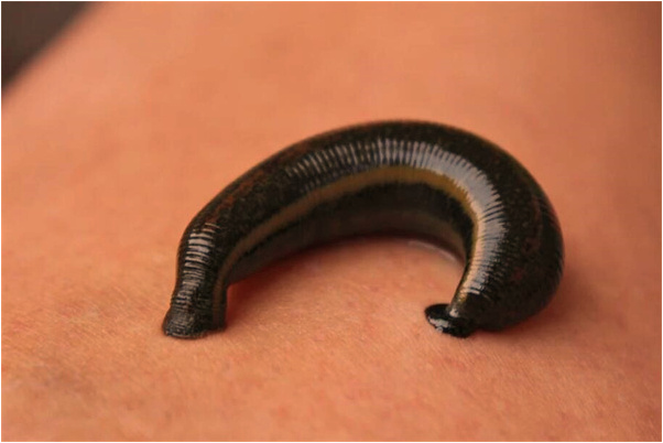 夢到了一條河旁邊有個棺材是什麼意思_周公解夢官網