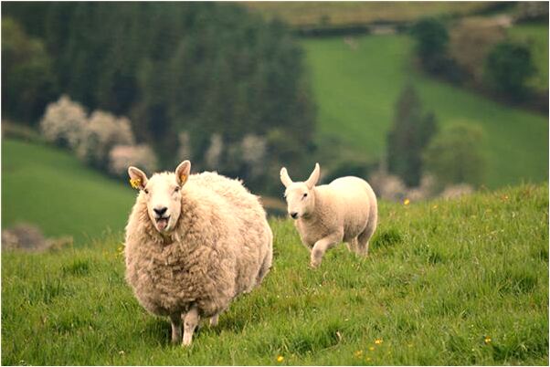 夢到了惡魔纏著自己殺男友代表著什麼?_周公解夢官網