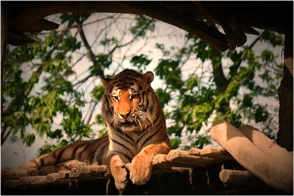 夢到了騎別人身上有什麼含義_周公解夢官網